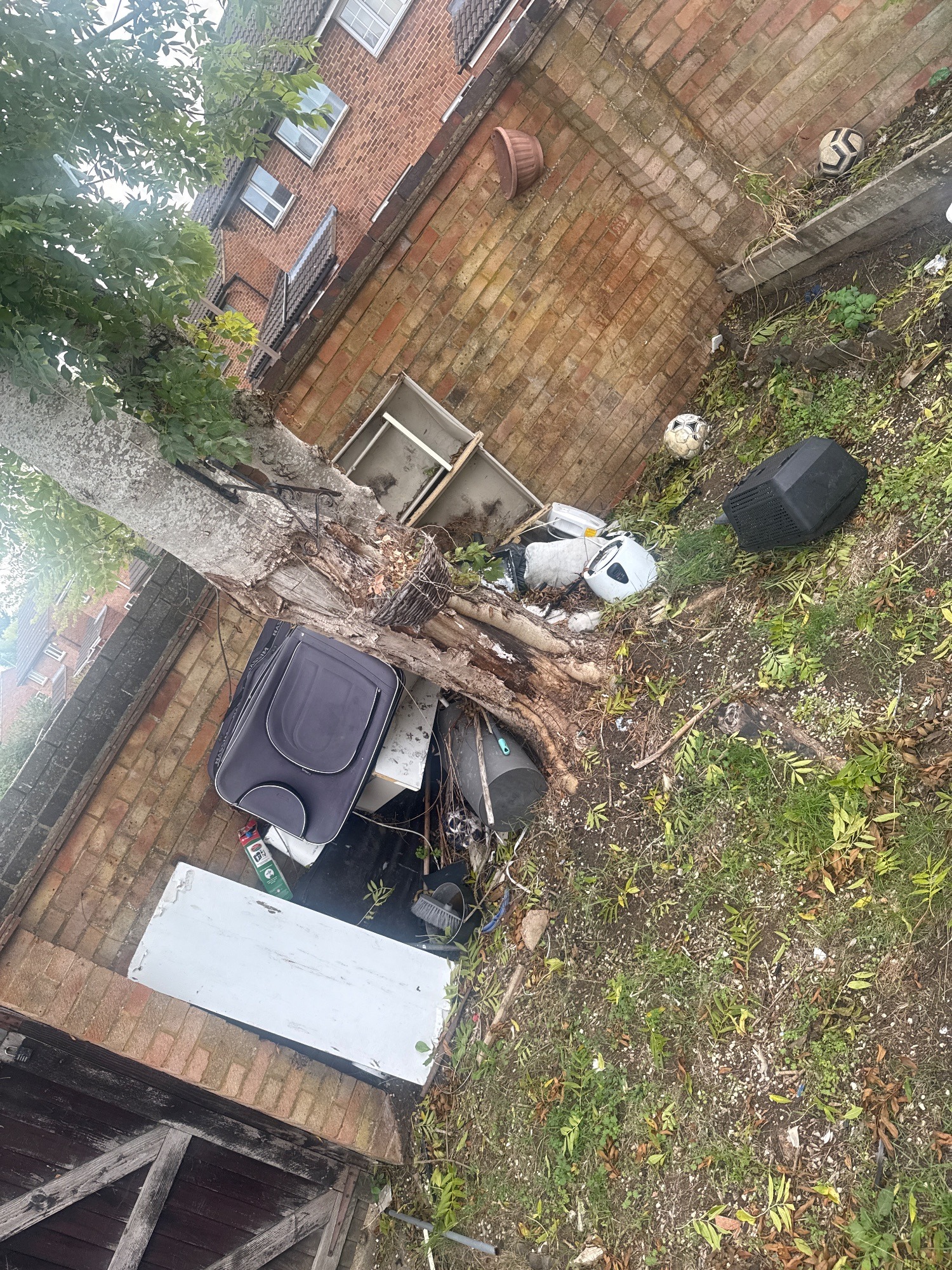 Customer photo of a garden clearance job, about a full van